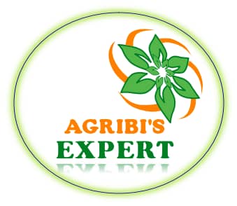 AGRIBI'S-EXPERT STORE