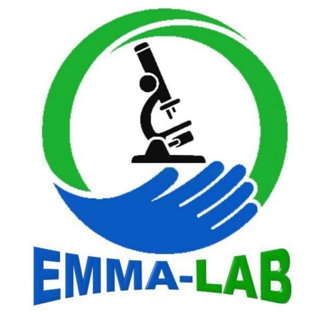 EMMA-LAB SARL STORE